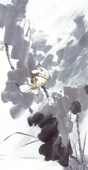 国画花鸟欣赏花图片素材 国画花鸟欣赏花图片素材