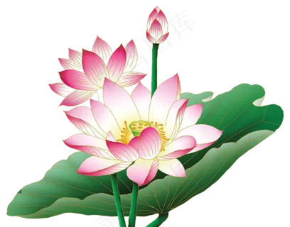 荷花素材 免抠 荷花 复古 中国风 莲花 荷叶 绿色