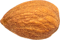 14_Almond