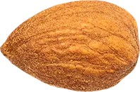 14_Almond