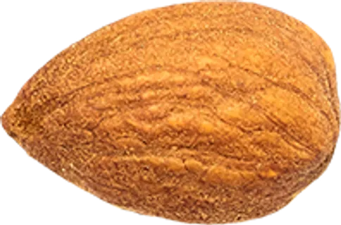 14_Almond