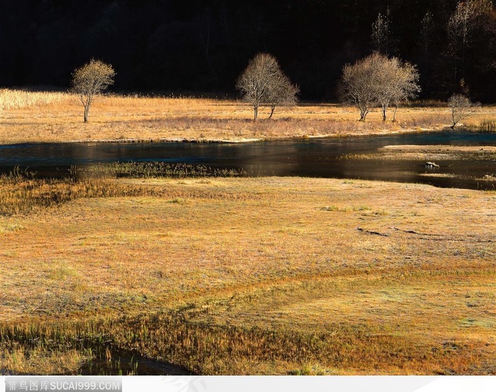 郊野风光-小河旁的秋景
