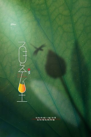 简约大气夏至节气海报传统24节气夏至海报