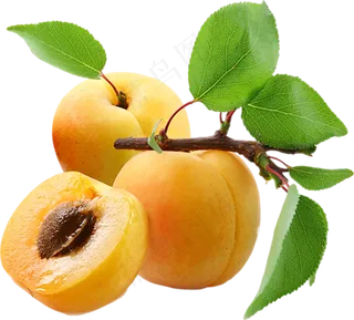 桃子免抠图片