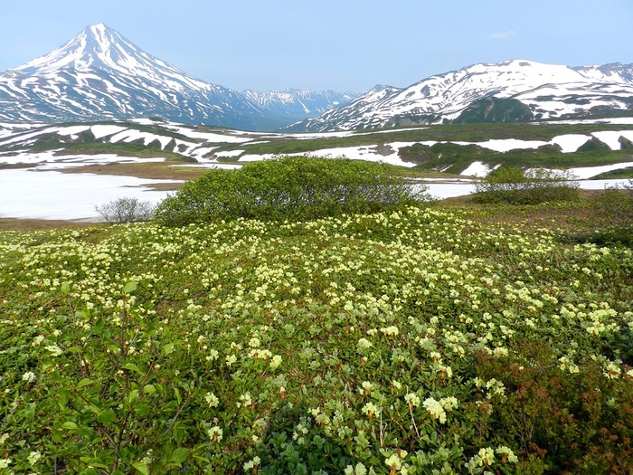 冬天白雪背景风景