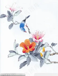 工笔画—茶花 工笔画—茶花