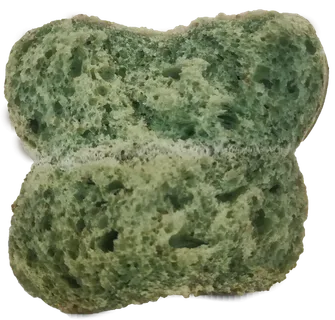 绿色掰开抹茶绿茶蔬菜欧包免抠实物实拍摄影元素素材