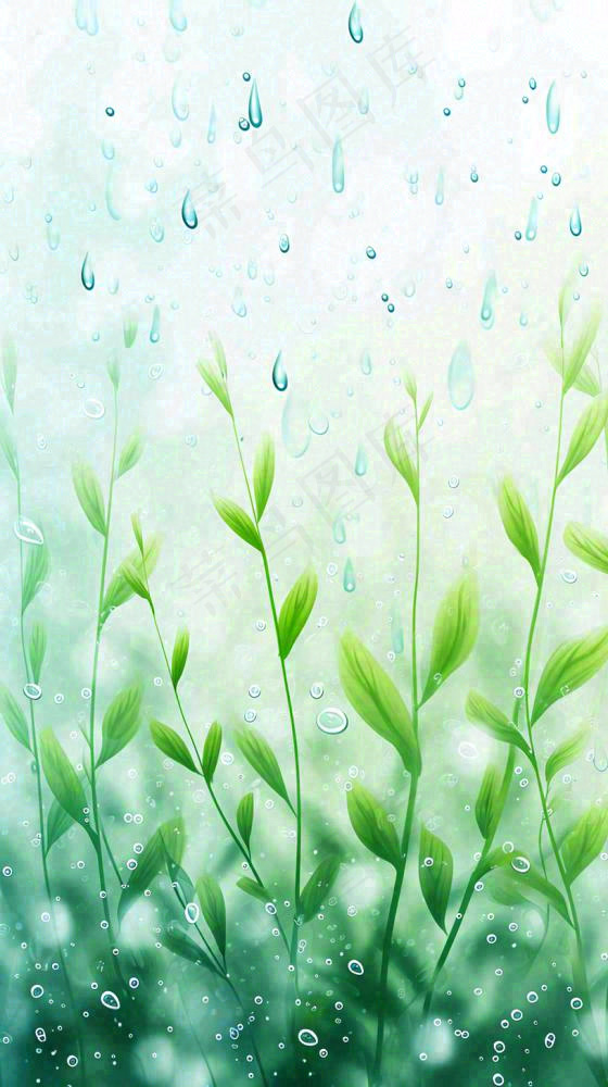 春天绿草下雨水珠，雨水，立春，春分(816x1456)