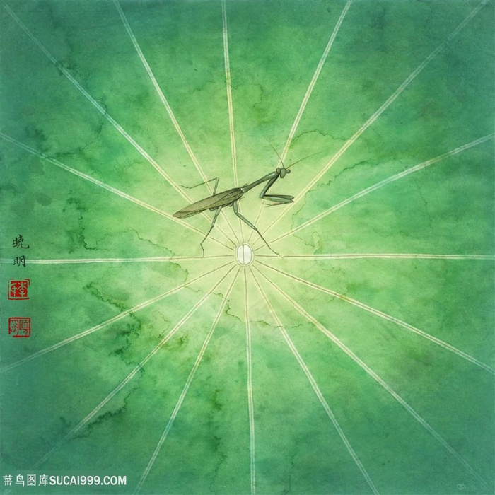 莲之舞高清工笔画螳螂国画图片