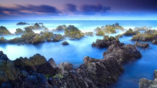 花香水天一色郁