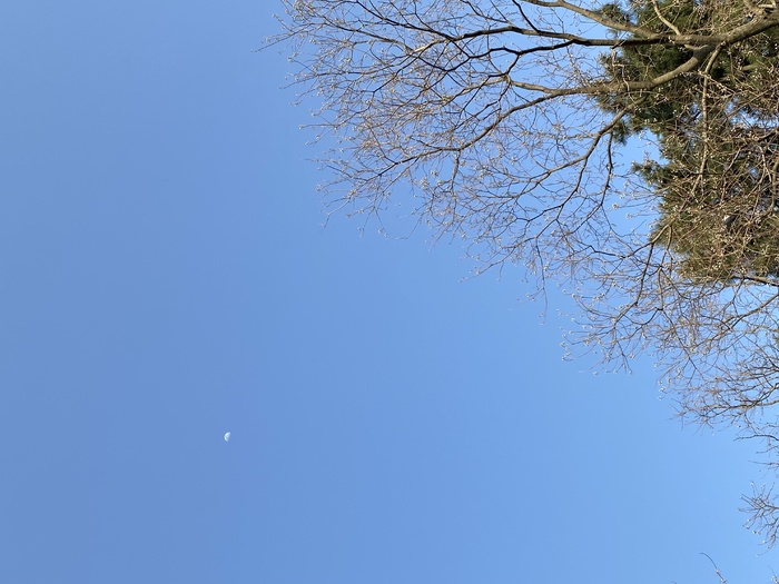 天空 蓝天 美景 大叔