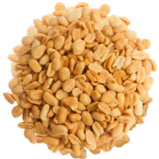 41_peanut_PNG41