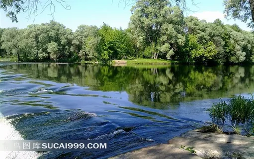 水景树林唯美大图