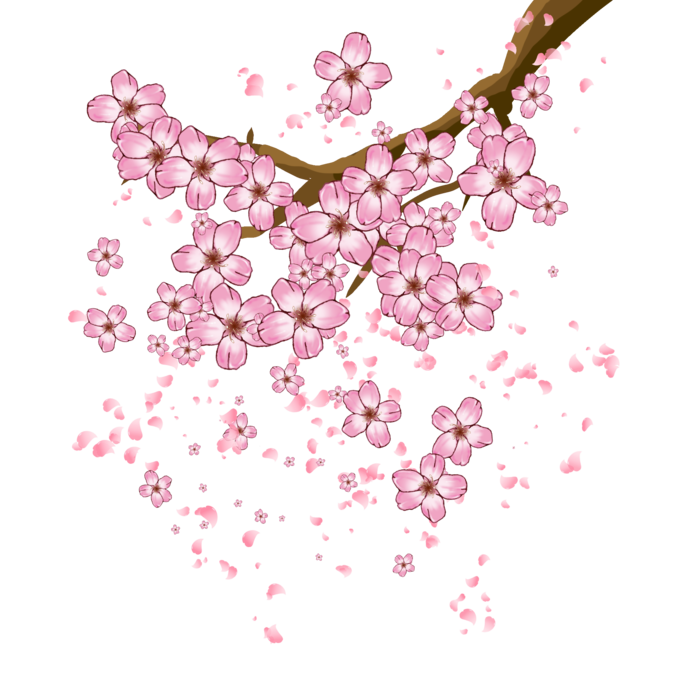 春天浪漫粉红色樱花手绘樱花梅花桃花花朵图片PNG免扣素材