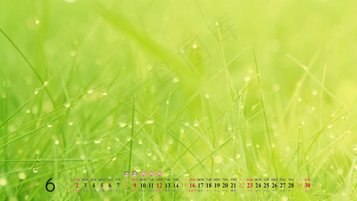 绿草地日历