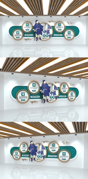 传统文化医疗健康中式大气医院中医文化墙展馆展厅文化墙