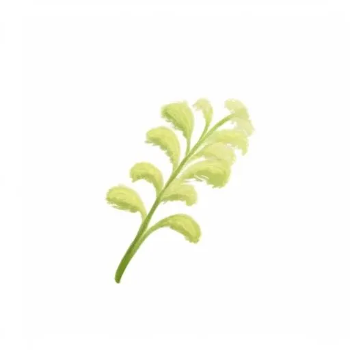 一支草png免抠(2048x2048)