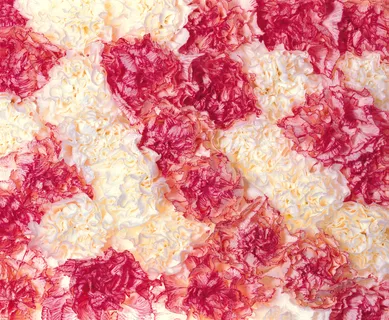 康乃馨背景图片下载