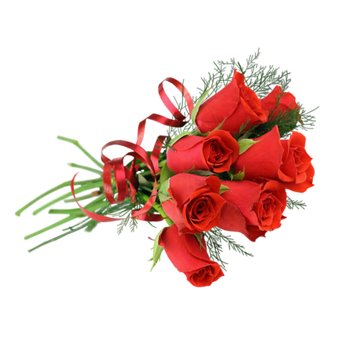 免抠玫瑰花实物摄影图片