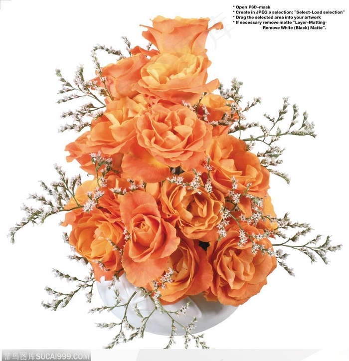 玫瑰花束-漂亮的红色玫瑰