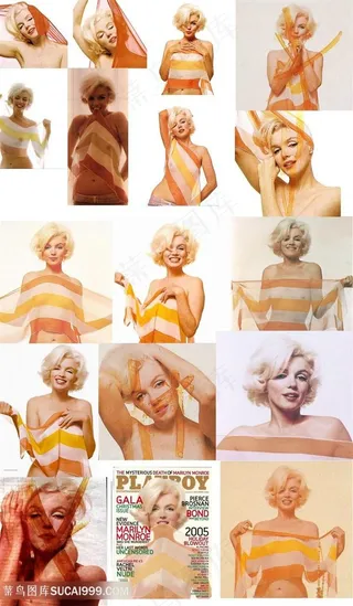 玛丽莲梦露艺术照拼图