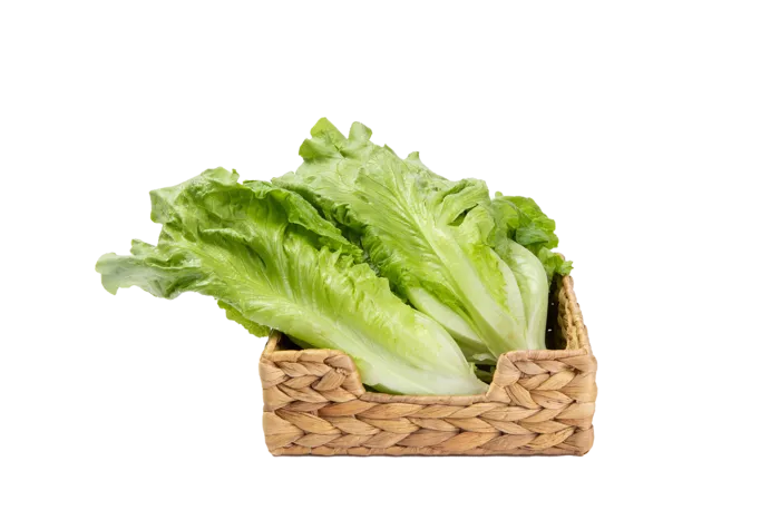 小洋洋素材 (22)超市商品白底图免抠实物摄影png格式图片透明底