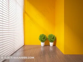 房间内的百叶窗与植物家居摄影高清图片