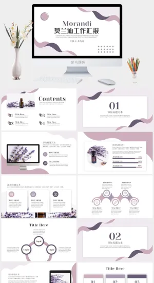 莫兰迪色系PPT模板预览图