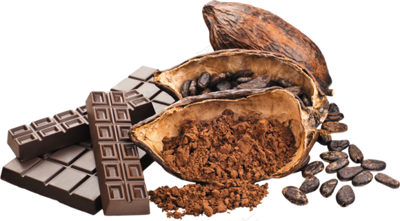 可可果实可可粉免抠 (17)