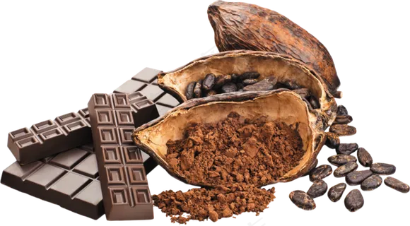 可可果实可可粉免抠 (17) 可可果实可可粉免抠 (17)