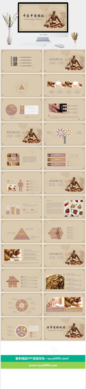 中药中医治病PPT模板ppt模版