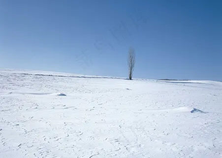 冰天雪地 3 冰天雪地 3
