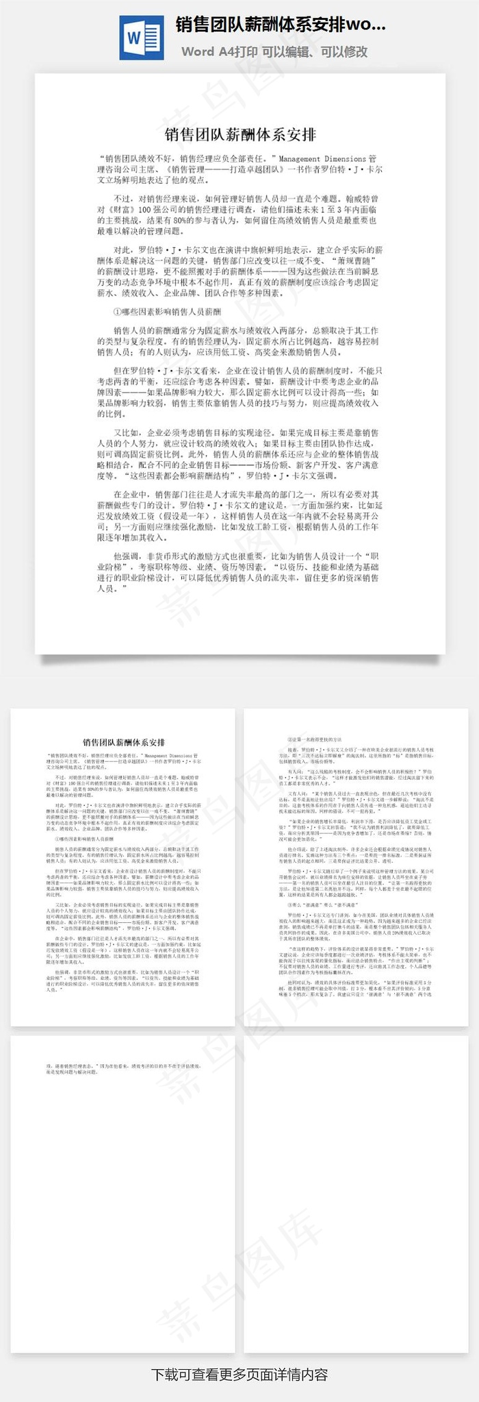 销售团队薪酬体系安排word文档