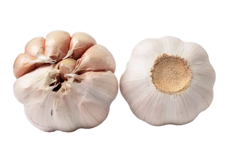大蒜头 (11)超市商品白底图免抠实物摄影png格式图片透明底