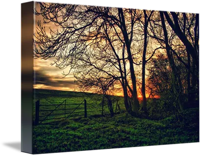 乡村晚霞乡村振兴