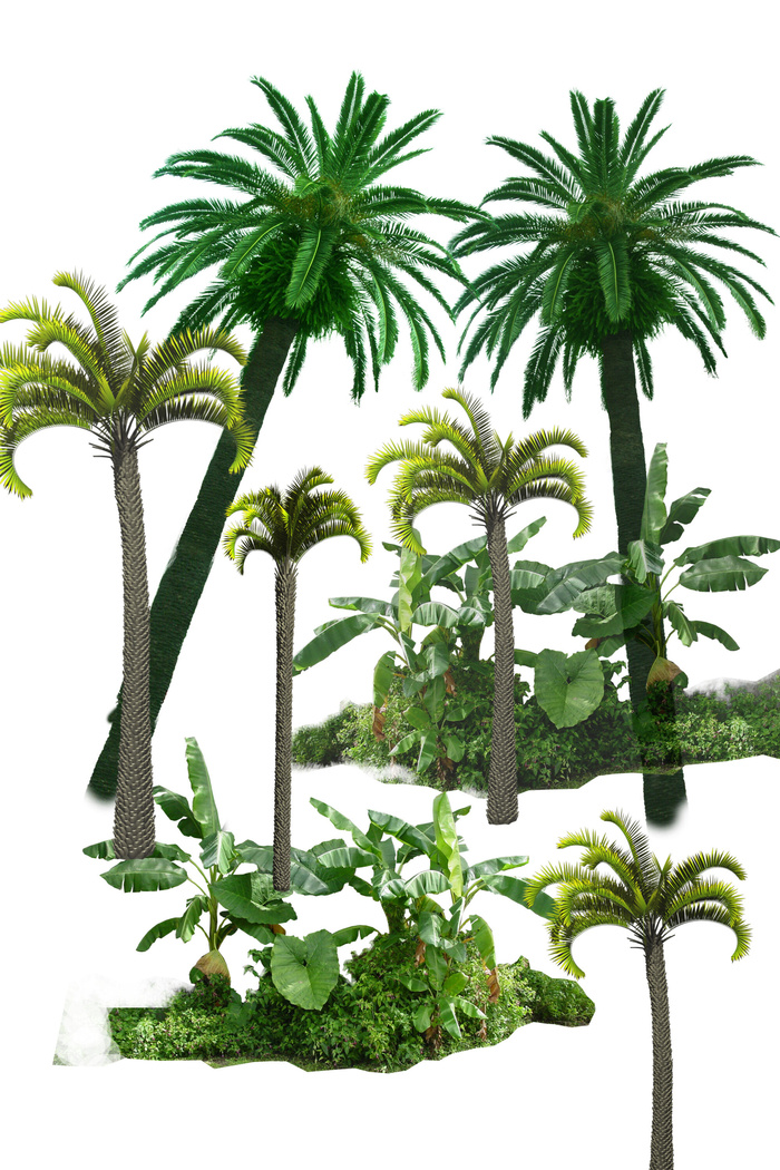 高清树木素材 免抠PSD植物素材 美术绘画园林贴图 树草灌木花草psd模版下载