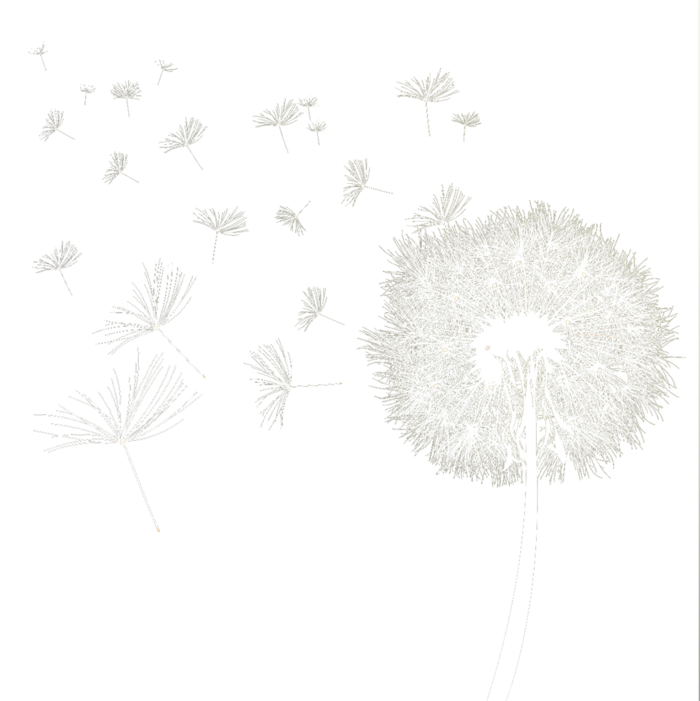 蒲公英漂浮