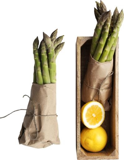芦笋 PNG免抠