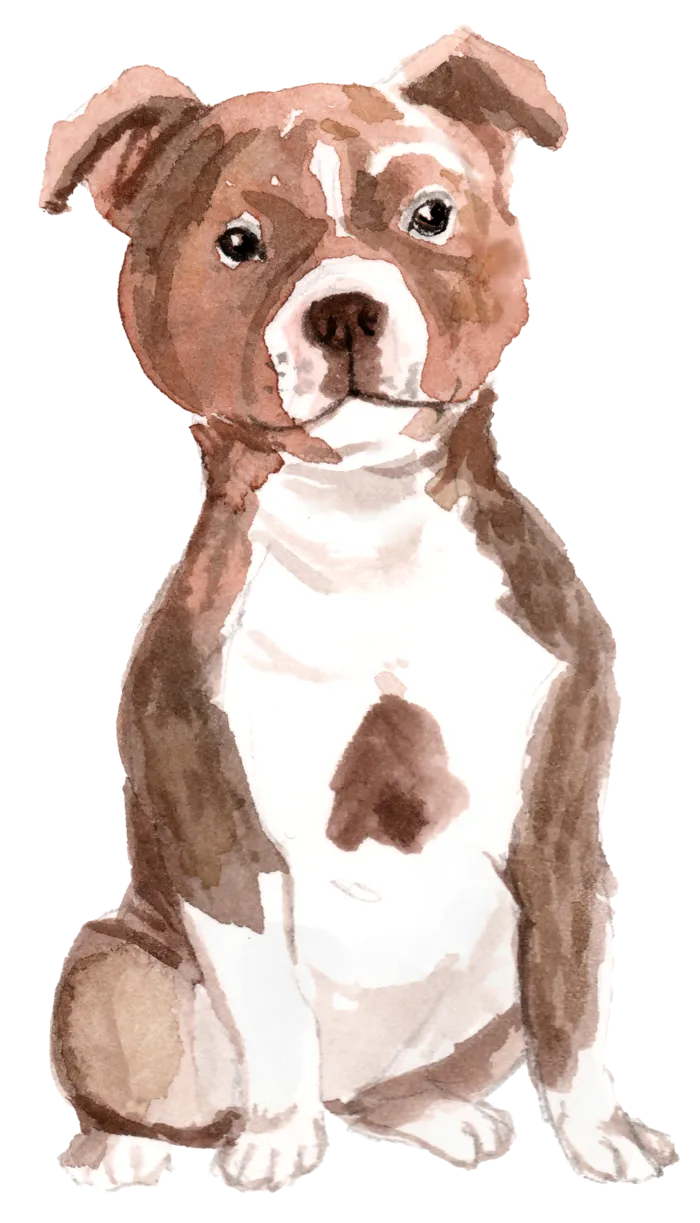 狗狗水彩画插画免扣素材可爱宠物狗