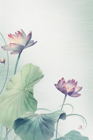 青色国风简约淡雅荷花背景