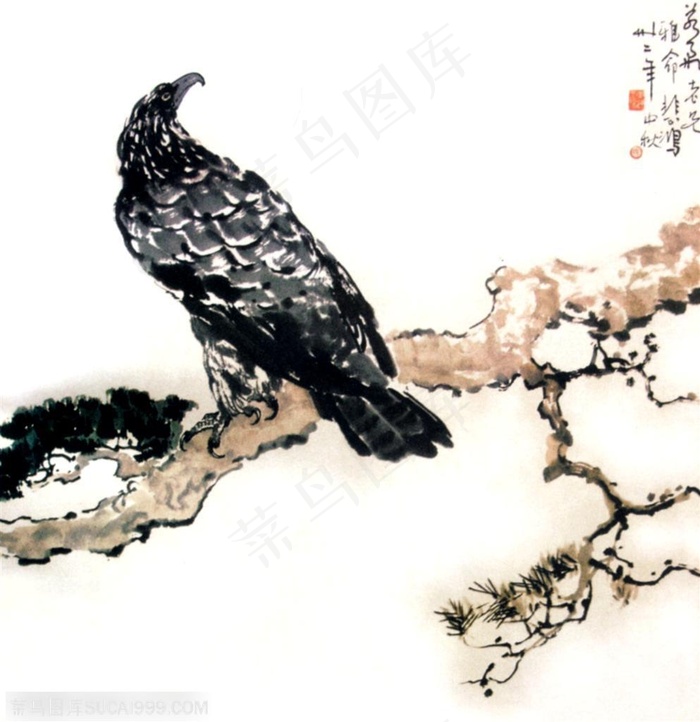 国画名家作品-徐悲鸿的松鹰