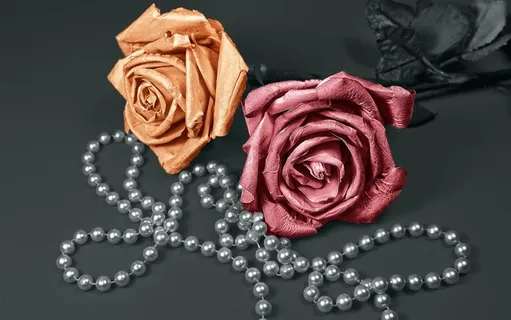 两朵美丽的玫瑰花