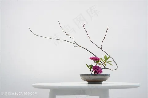 插花花艺文艺花放在桌上的背景 插花花艺文艺花放在桌上的背景