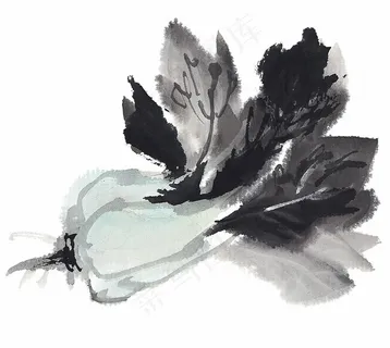 瓜果蔬菜鱼虾蟹工笔jpg素材 瓜果蔬菜鱼虾蟹工笔jpg素材
