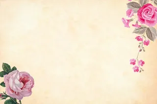 暖色鲜花背景图框图片