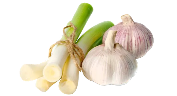 葱姜蒜佐料调味料