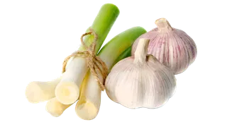 葱姜蒜佐料调味料