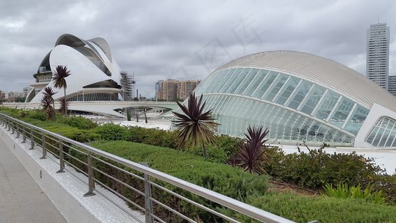 露天体育场图片