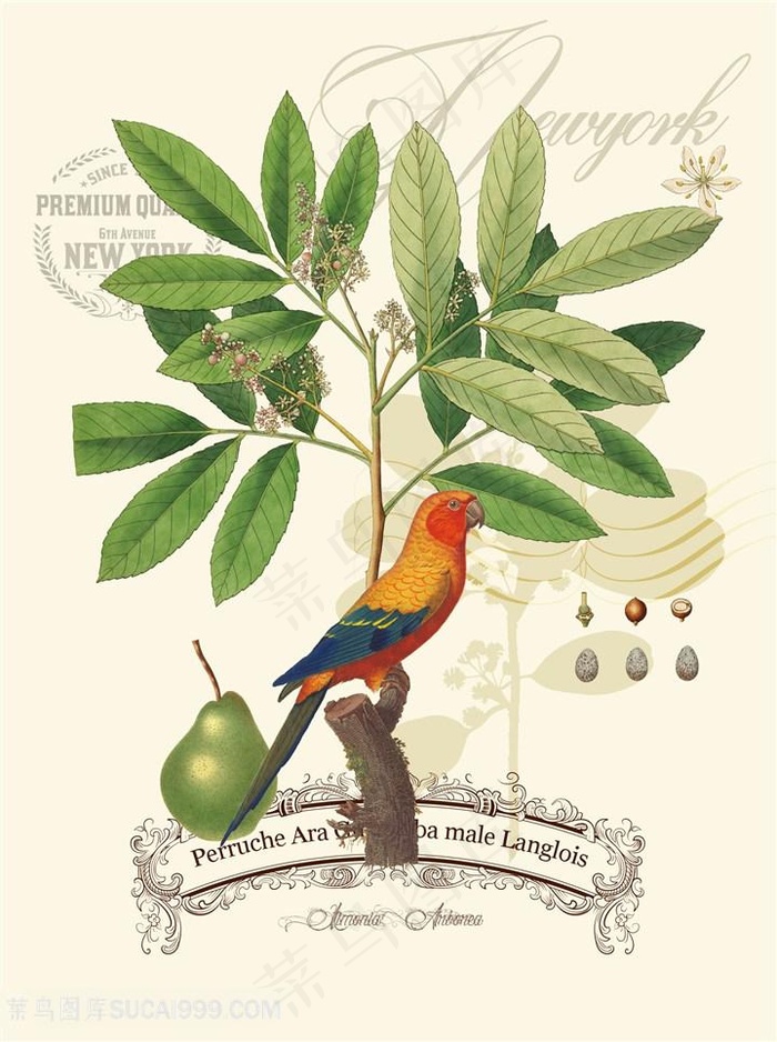 简约叶语鹦歌美式田园手绘插画