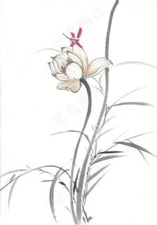 国画花鸟设计素材